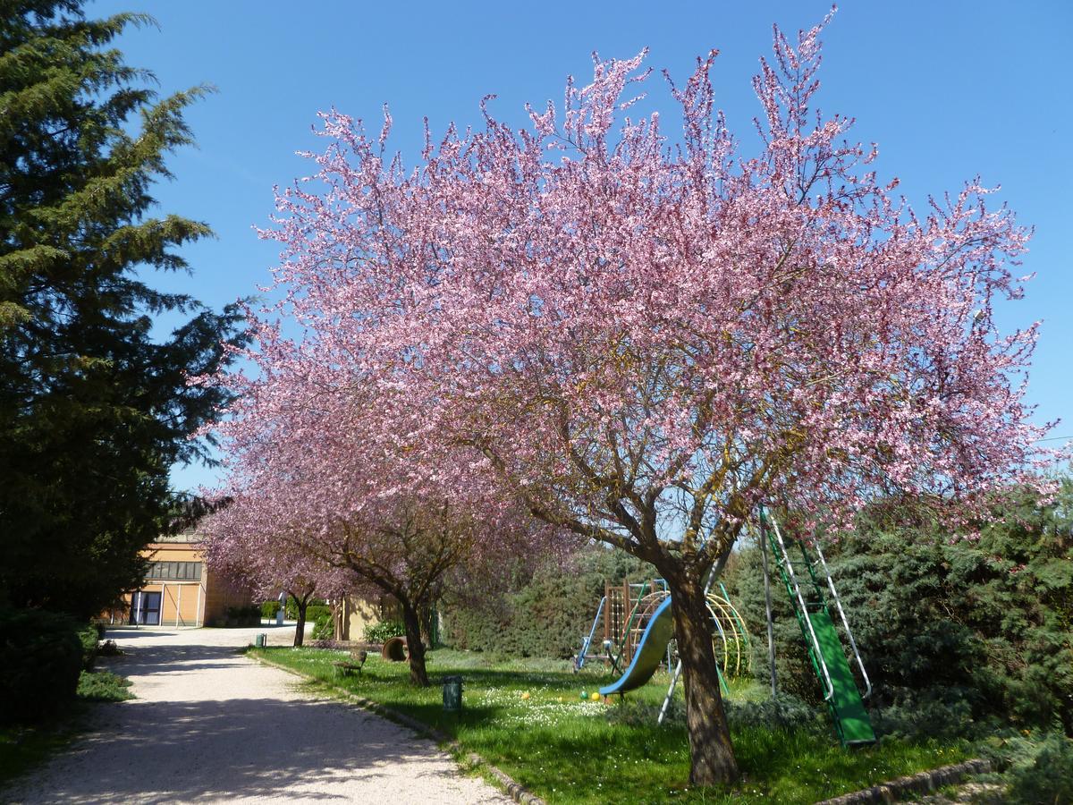 Colleverde Country House Colle Umberto  Екстер'єр фото